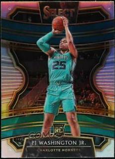 PJ Washington Jr.