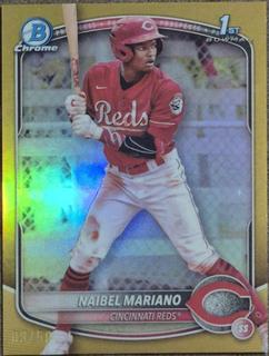 Naibel Mariano