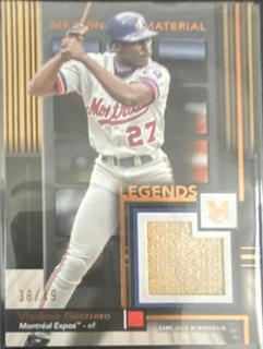 Vladimir Guerrero