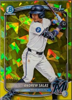 Andrew Salas