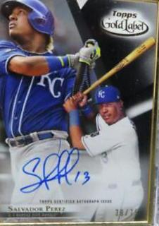 Salvador Perez