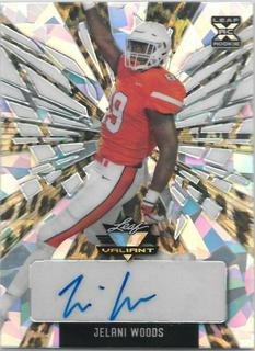 Jelani Woods