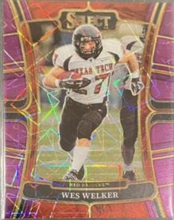 Wes Welker