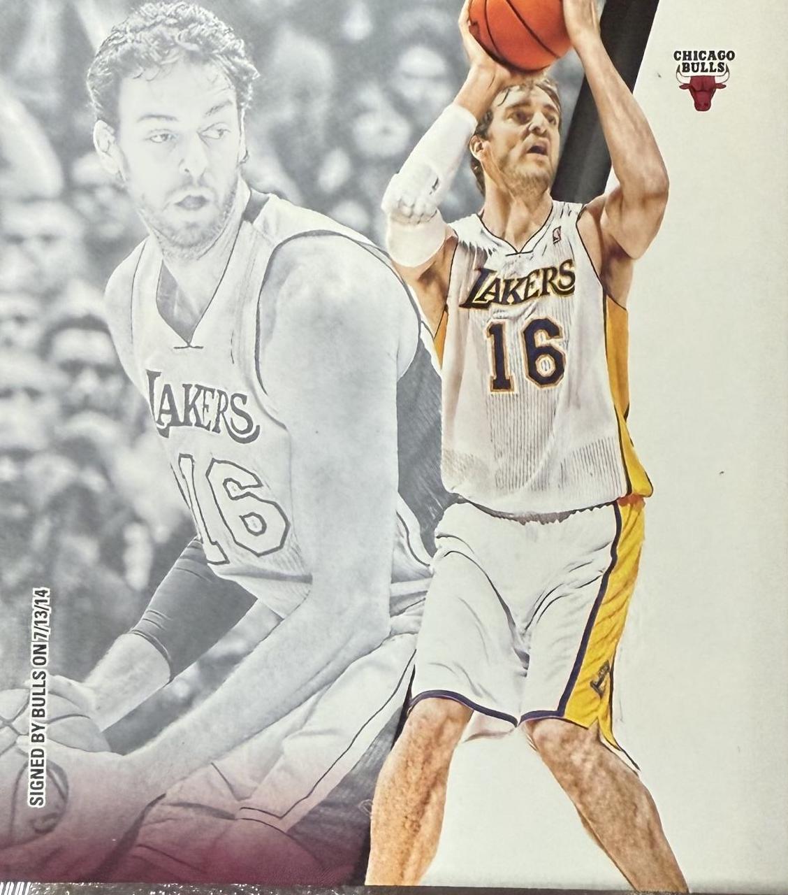 Pau Gasol