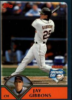 Jay Gibbons