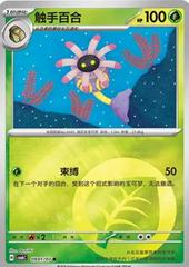 Lileep 901
