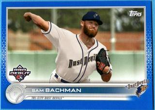 Sam Bachman