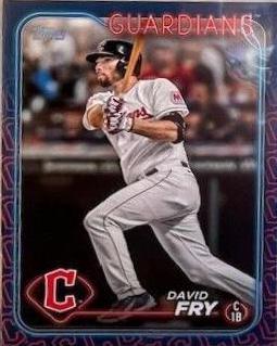 David Fry