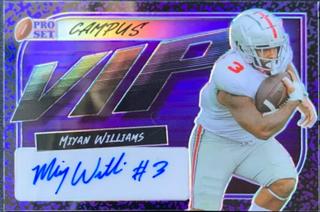 Miyan Williams