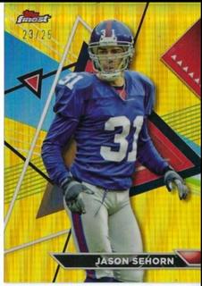 Jason Sehorn