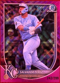 Salvador Perez