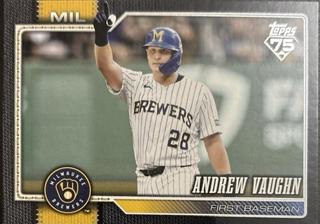 Andrew Vaughn