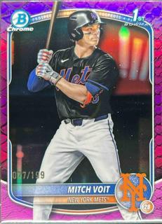 Mitch Voit