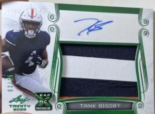 Tank Bigsby