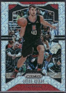 Ivica Zubac
