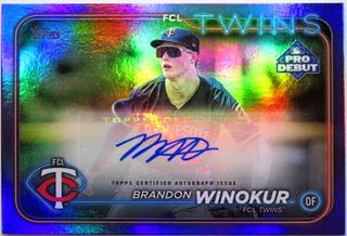 Brandon Winokur