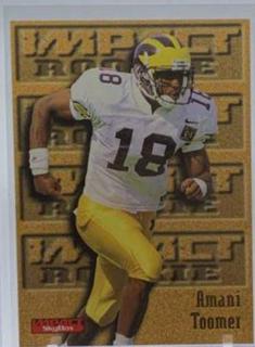 Amani Toomer