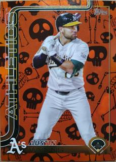 Austin Wynns