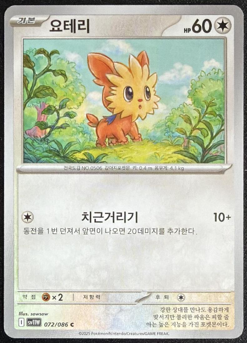 Lillipup — pokemon-korean-white-flare #72