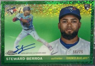 Steward Berroa
