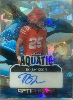 Bo Jackson