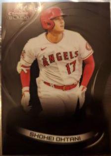Shohei Ohtani