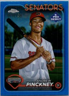Andrew Pinckney