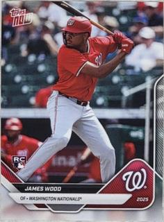 James Wood