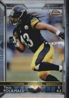 Troy Polamalu