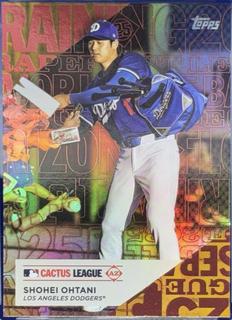Shohei Ohtani