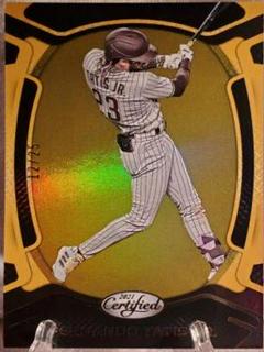 Fernando Tatis Jr.