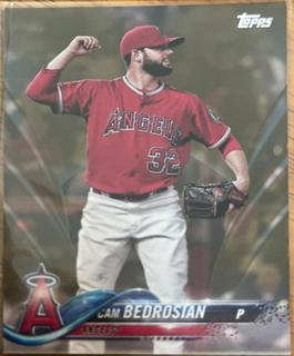 Cam Bedrosian