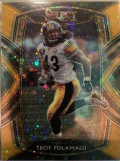 Troy Polamalu