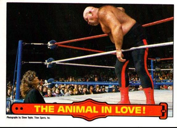 The Animal in Love #60 Wrestling Cards 1985 O Pee Chee WWF Series 2