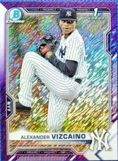 Alexander Vizcaino