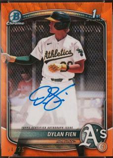 Dylan Fien