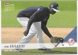 Didi Gregorius