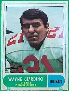 Wayne Giardino