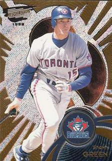 Shawn Green