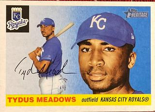 Tydus Meadows