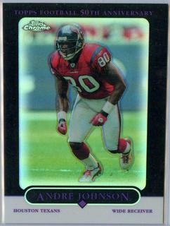 Andre Johnson