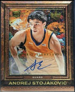 Andrej Stojakovic