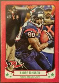 Andre Johnson