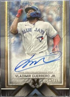 Vladimir Guerrero Jr. [Gold] #AA-VGJ