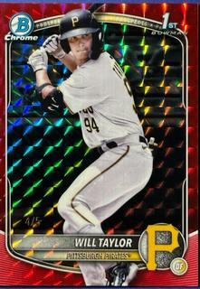 Will Taylor