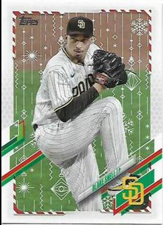 Blake Snell #HW48