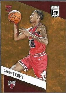 Dalen Terry