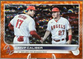 Mike Trout / Shohei Ohtani