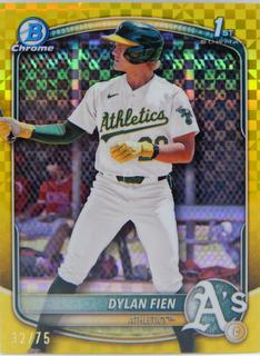 Dylan Fien