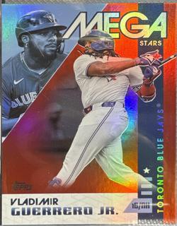 Vladimir Guerrero Jr.